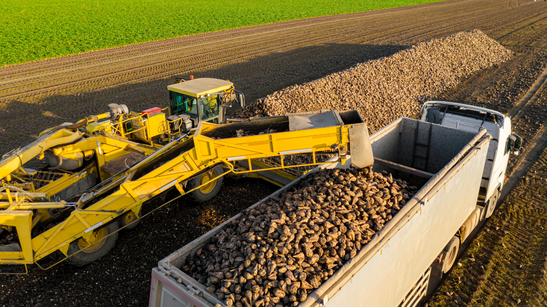 Werken in afvalverwerking en recycling